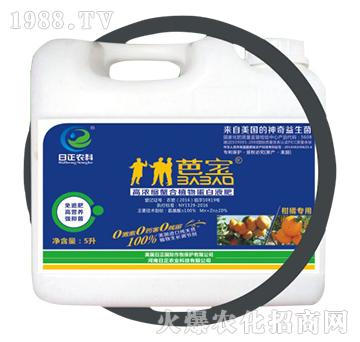 ���ٌ��ã�Ͱ��-�ߝ�s