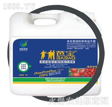 ���ь��ã�Ͱ��-�ߝ�s