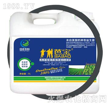 �����󶹌��ã�Ͱ��-��