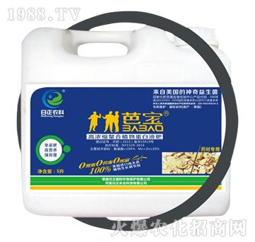 ˎ�Č��ã�Ͱ��-�ߝ�s