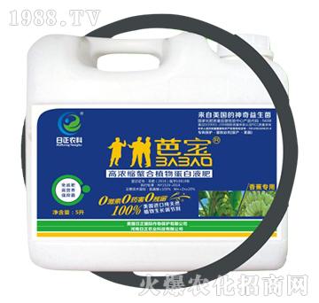 �㽶���ã�Ͱ��-�ߝ�s