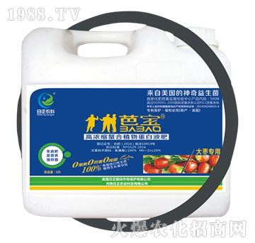 �󗗌��ã�Ͱ��-�ߝ�s