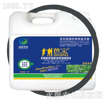 ���݌��ã�Ͱ��-�ߝ�s