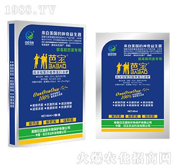 �ⶾ��ˎ������-�ߝ�s