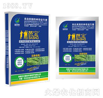 ���ǌ��ã�����-�ߝ�s