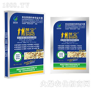 ˎ�Č��ã�����-�ߝ�s