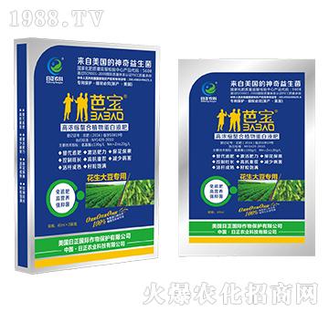 �����󶹌��ã�����-��