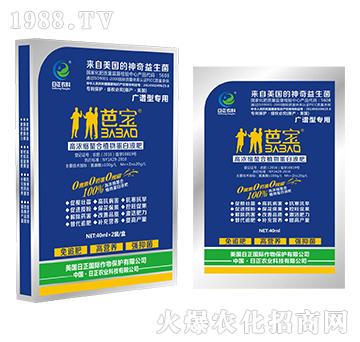 �V�V�͌��ã�����-�ߝ�