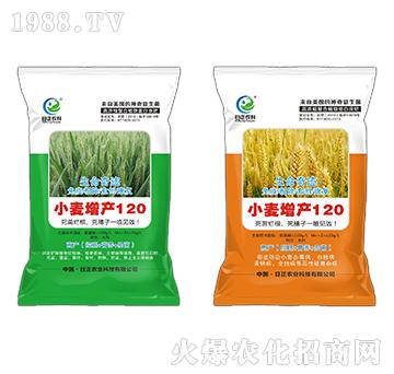 С�����a(ch��n)120-�������E-�����r(n��ng)��