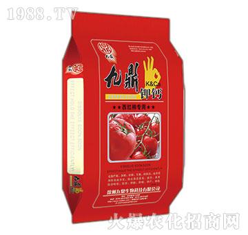 ���t�����þŶ���}-��