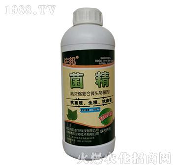 ����-����