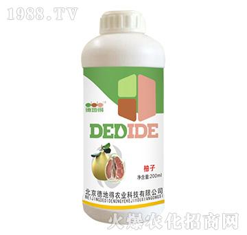 ���ӌ���-�µص�