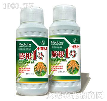 ���1̖-ˎ�Č����~���-���