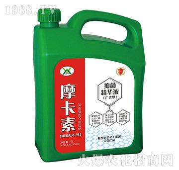 �־����AҺ���V�V�ͣ�-