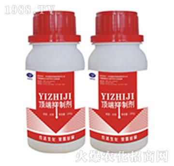 픶����Ƅ�-�r(n��ng)�_����