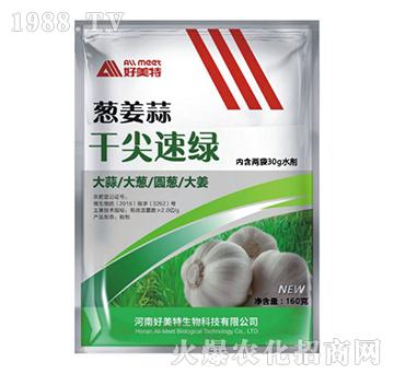 �[����ɼ��پG-������