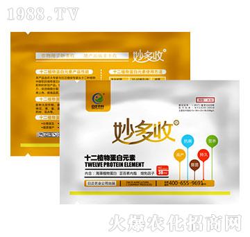 ʮ��ֲ�ﵰ��Ԫ��-�����-�����r(n��ng)��