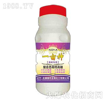 ���䌣�����ϑB(t��i)���}����