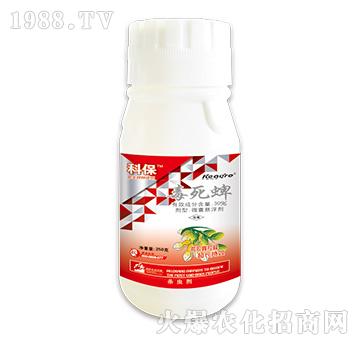 30%������-�Ʊ�-��