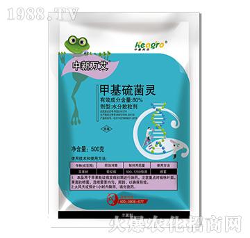 80%�׻�����`-����