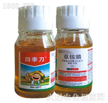 �ݸ��+�ļ���-���¿��r