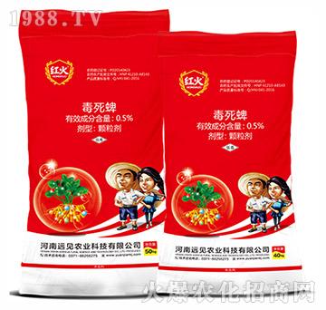 ��������ˎ��-0.5%������-�h(yu��n)Ҋ�r(n��ng)�I(y��)