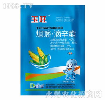 40%���ס�������-����-�hҊ�r�I(y��)