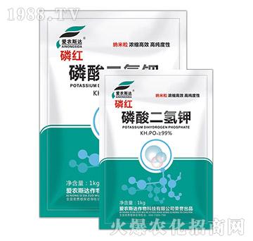 ��������-�׼t-���r(n��ng)˹�_