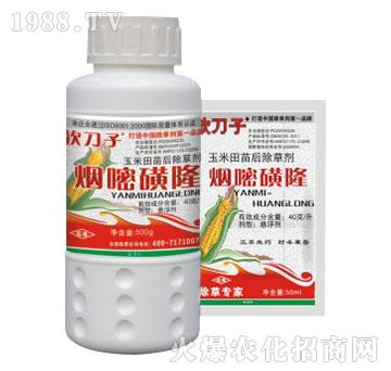 4%���׻�¡-�f���t-�G��