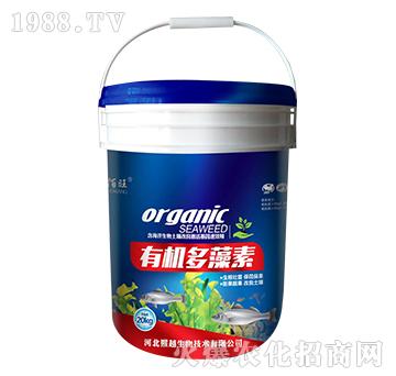 �ЙC(j��)������-������-��Խ����