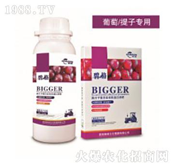 �������ӌ�(zhu��n)�ø߷��ӏ�(f��)�����ЙC(j��)����Һ��-�̸�-�ɭ�r(n��ng)�I(y��)