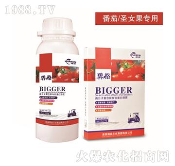 ����ʥŮ�����ø߷��ӏ�(f��)�����ЙC����Һ��-�̸�-�ɭ�r(n��ng)�I(y��)