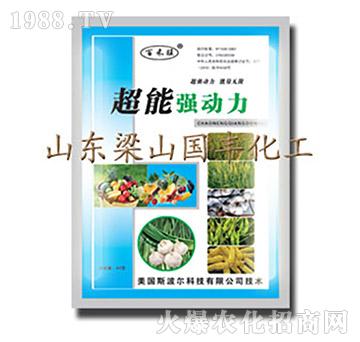 ���܏�����-��ɽ���S