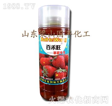 ��ݮ�����~���-��ɽ��