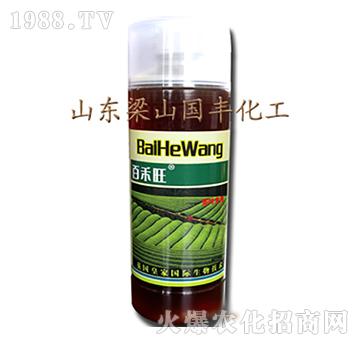 ���~�����~���-��ɽ��