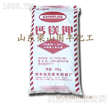 �}�V�-��ɽ���S