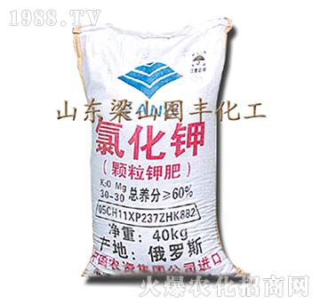 �Ȼ��-��ɽ��(gu��)�S