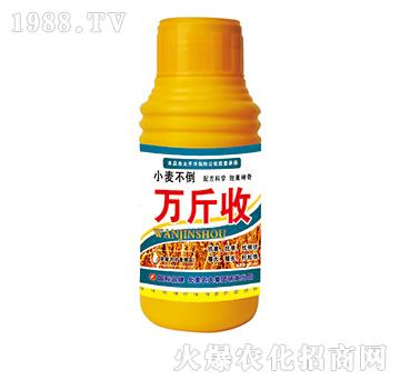 �f(w��n)����-�����r(n��ng)��