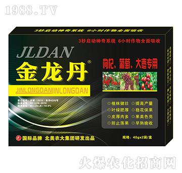 ������-������������󗗌���-�����r(n��ng)��