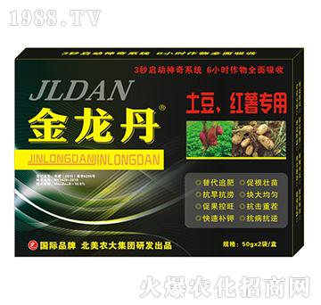 �������������t�팣��-�����r(n��ng)��