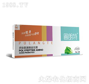 �~��ͨ��-���İ�����������-������