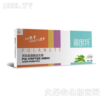 �������-���İ�����������-������