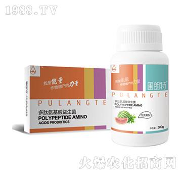 �������-���İ�����������-������