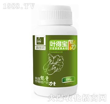 �~�Ì���ƿ��-������