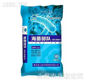 ΢�������-�������(du��)-��֮�{(l��n)