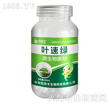 ΢�������-�~�پG-�����S