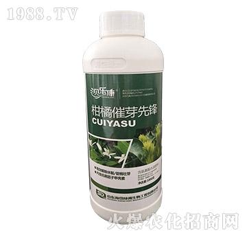 ���ٴ�ѿ���h-ؐ��(l��)��-��᷾G��