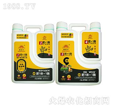 ֲ��I(y��ng)�B(y��ng)�������~ʢ��-��1�w+1ø-����