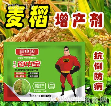 ������Ќ�-��С��