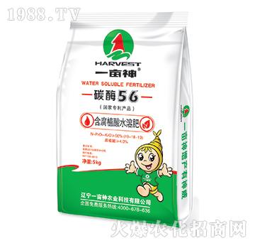 ����ֲ��ˮ�ܷ�19-1